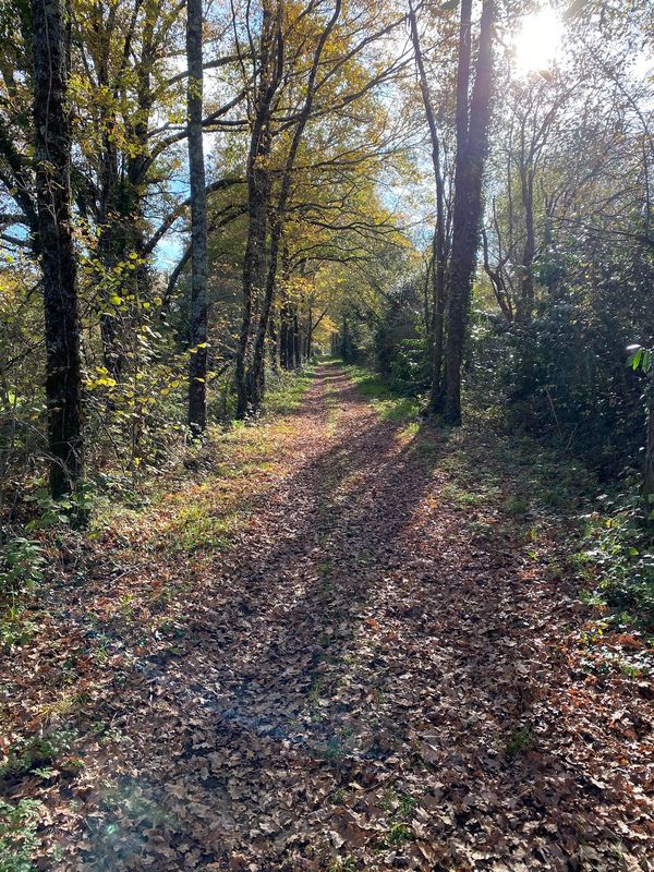 The old railway path into Confolens